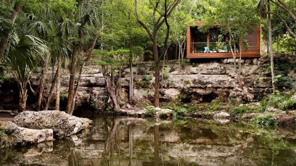 Cenote natural rodeado de selva en Chablé Yucatán